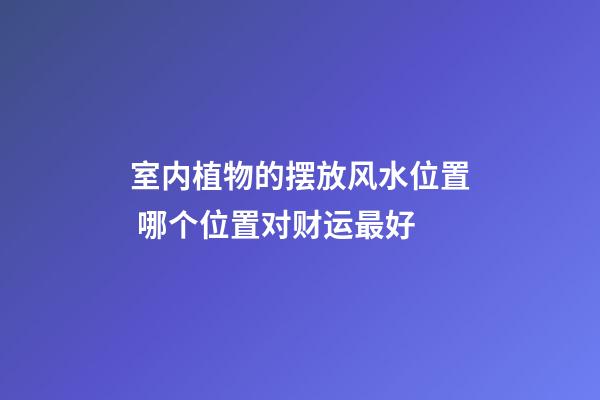 室内植物的摆放风水位置 哪个位置对财运最好
